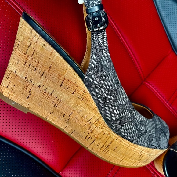 Coach - Picture 5 of 8